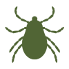 Garrapata Garrapata