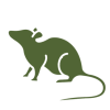 Rata Rata